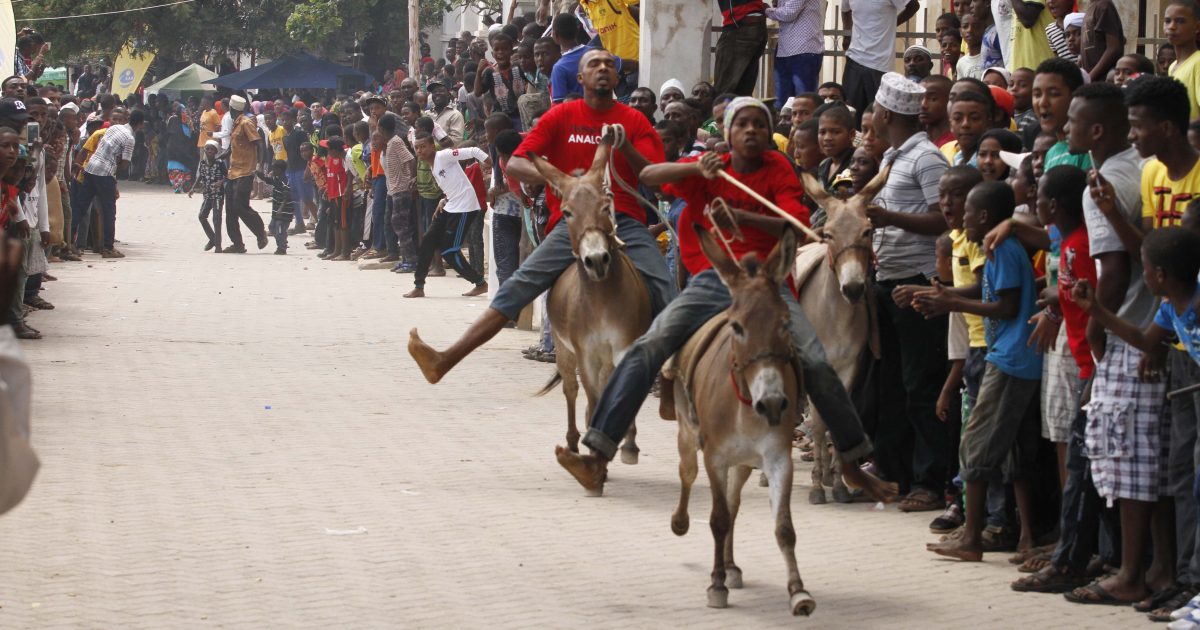 Annual Lamu cultural festival returns after two-year Covid-19 break