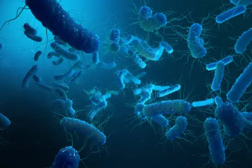 Shock as Mukumu Girls students die of ‘cholera’
