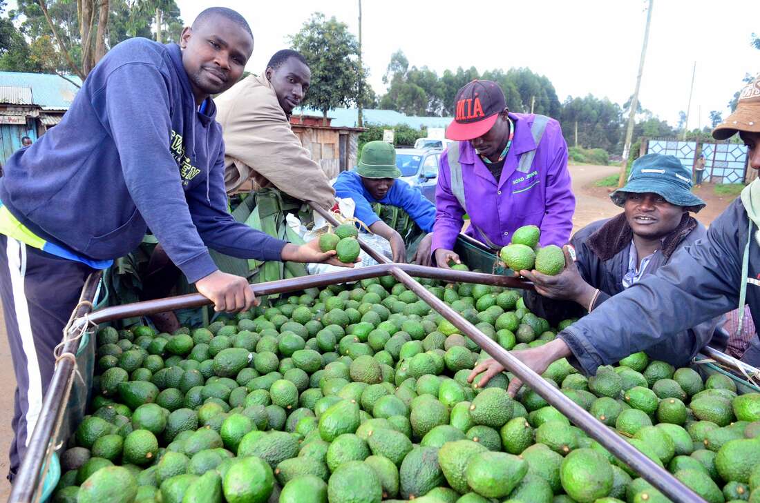 Tough balancing act as Kenya eyes increased exports