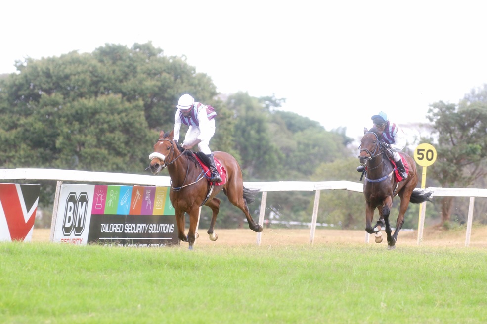 General Lee rules the roost at Ngong