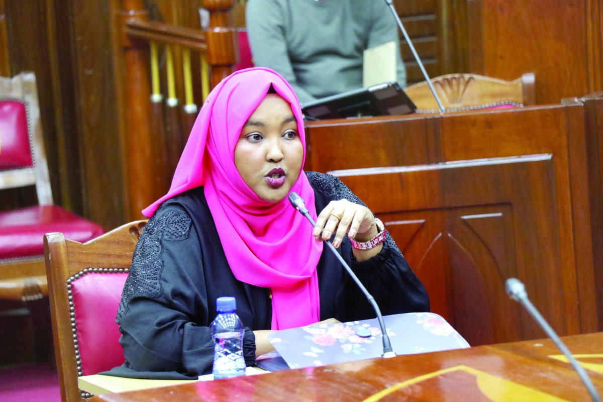 Legislators grill revenue body nominees, Gedi defends qualifications