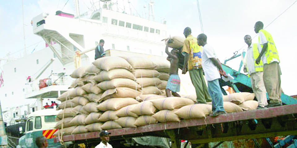 Government allows duty free maize and rice import in 2023