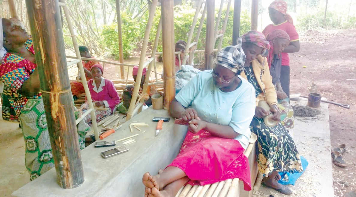 Women’s group benefit from bamboo farming