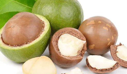 Boom for macadamia farmers as earnings rise in 2022