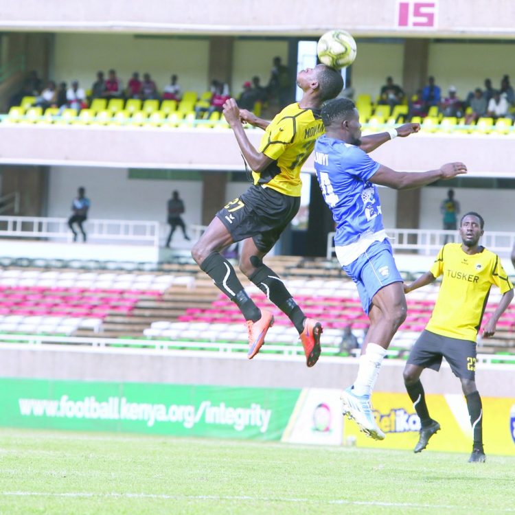 Tusker intoxicate Leopards