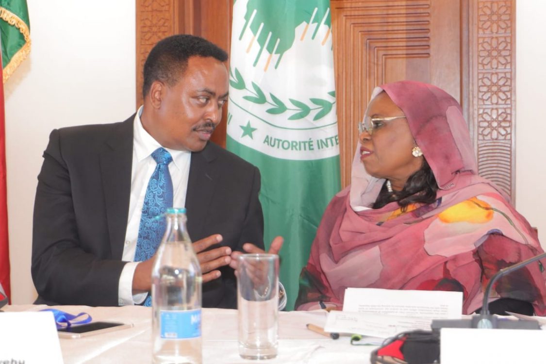 IGAD raises concerns over surge in transnational crimes