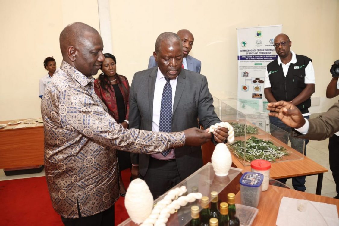 A peek into Ruto’s bag of goodies for Nyanza residents