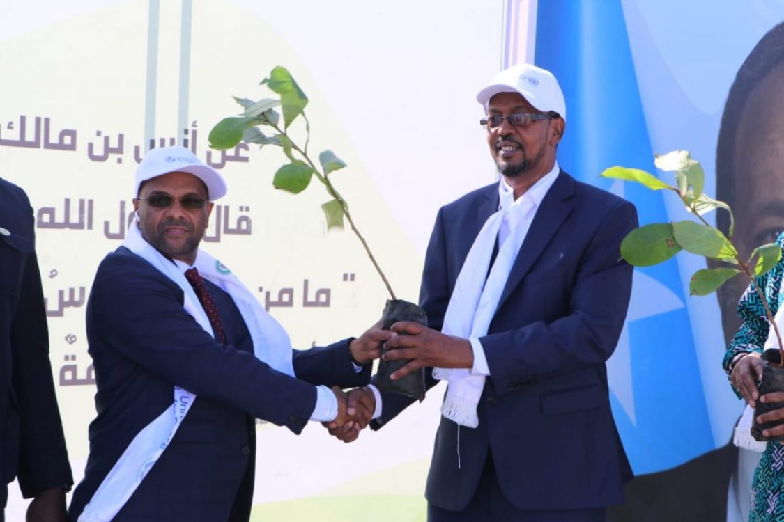 UPEACE donates 6,000 tree seedlings to Somali govt