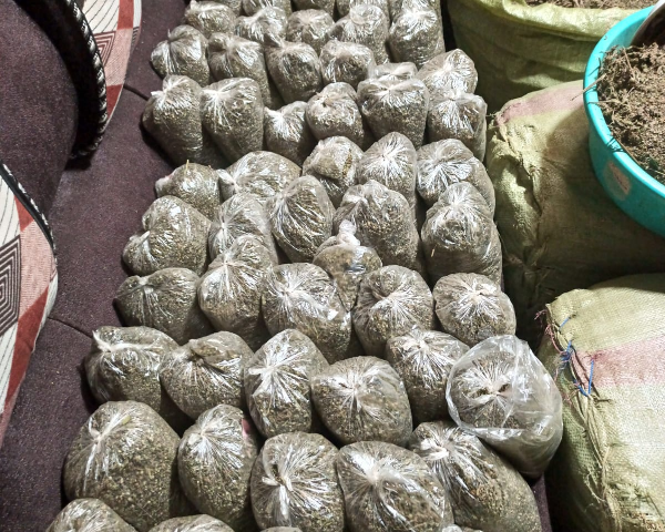 Police impound bhang, arrest four in Ruiru