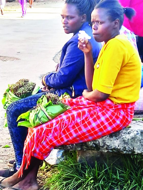 Maua women outshine men in miraa business