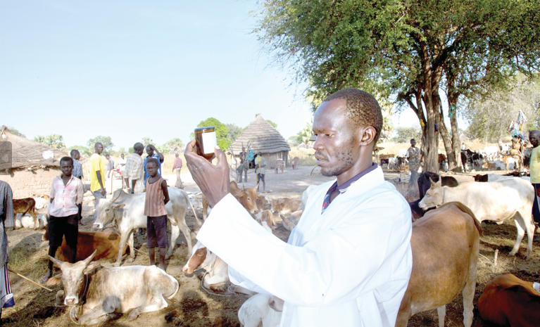 Threat of disease outbreaks as veterinarians strike looms