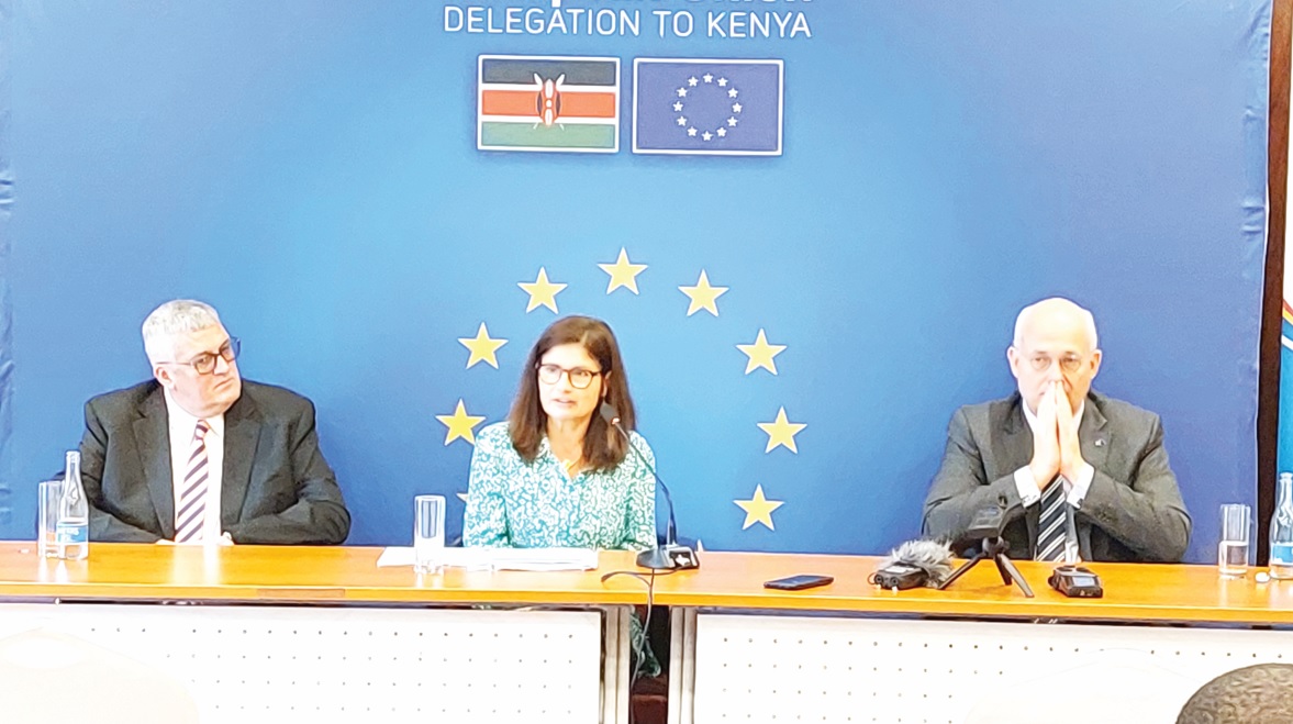 Proposed levy threatens EU-Kenya trade relations