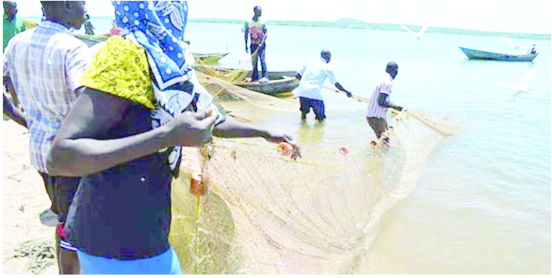 Ugandan authorities release 24 Kenyans arrested for illegal fishing