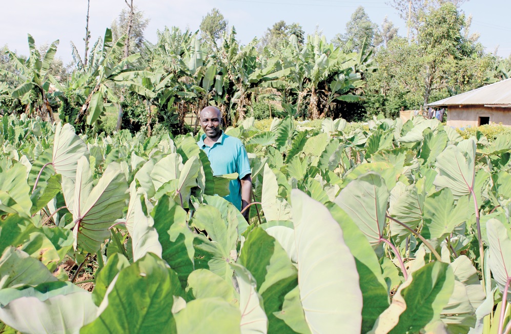 Farmers embrace climate literacy to fight global warming