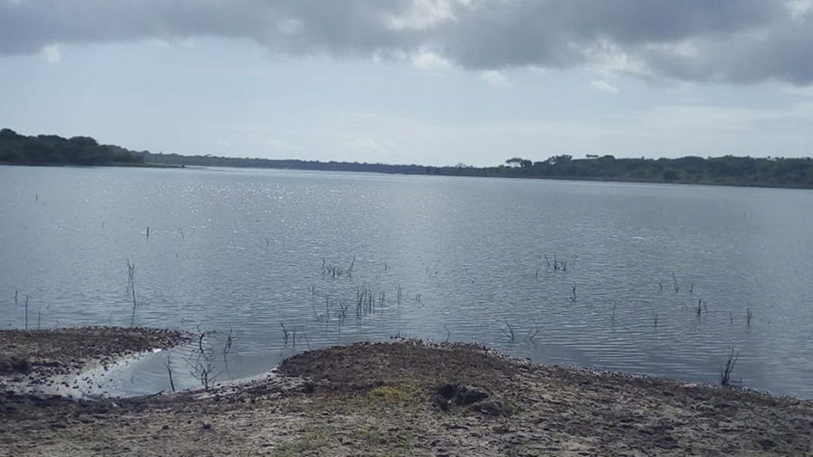 Big win for conservation as Lamu to gazette 44 wetlands