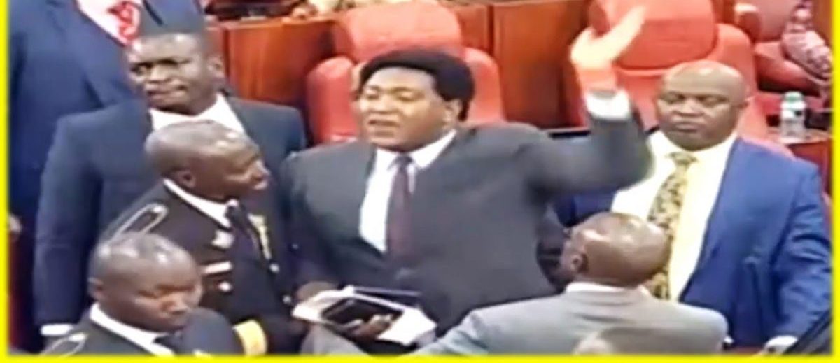 Ledama, 2 Azimio senators kicked out of Senate for causing commotion