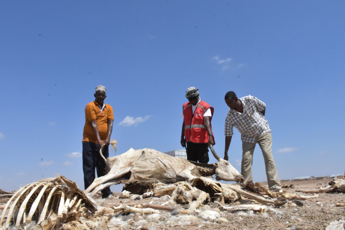 Impact of climate change, beyond water shortage