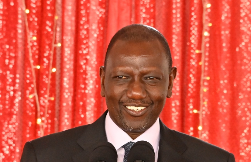 Ruto charms investors at The Hague