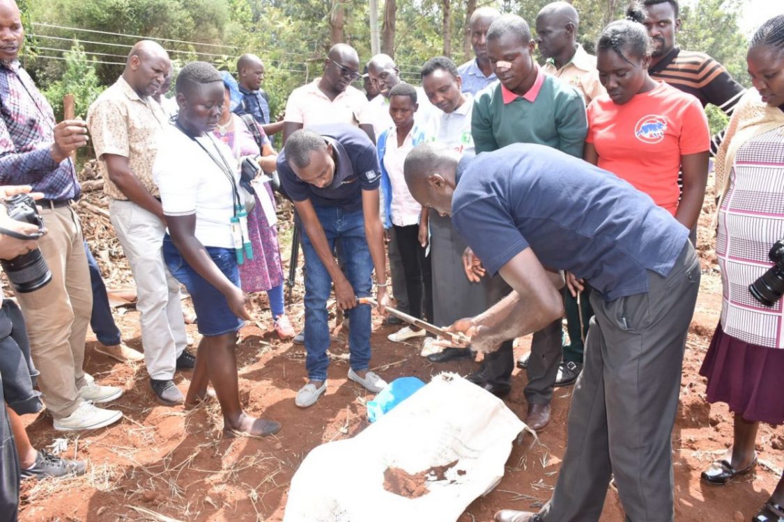 Use lime to tame soil acidity, farmers urged