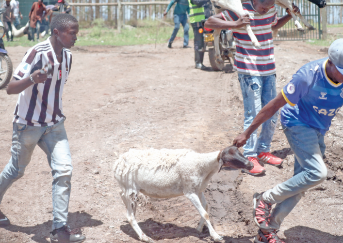 Police kick out intruders from Kenyatta land