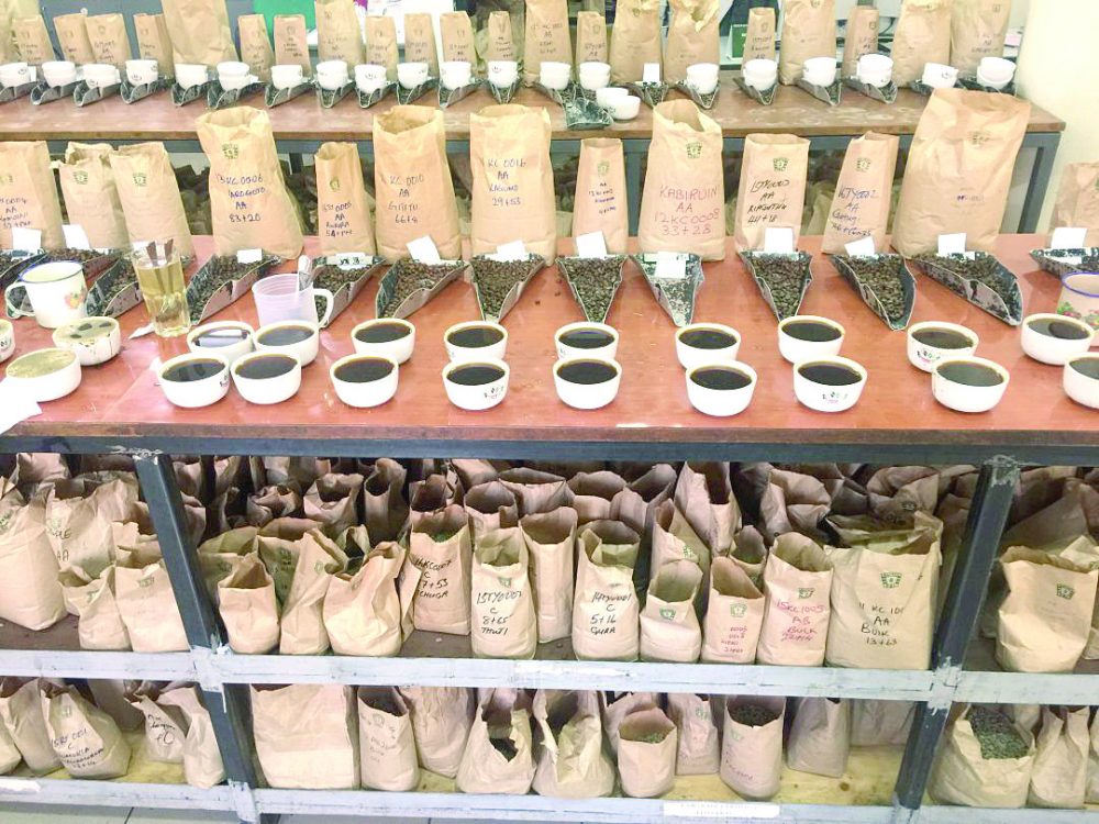 NCE admits coffee firms to auction