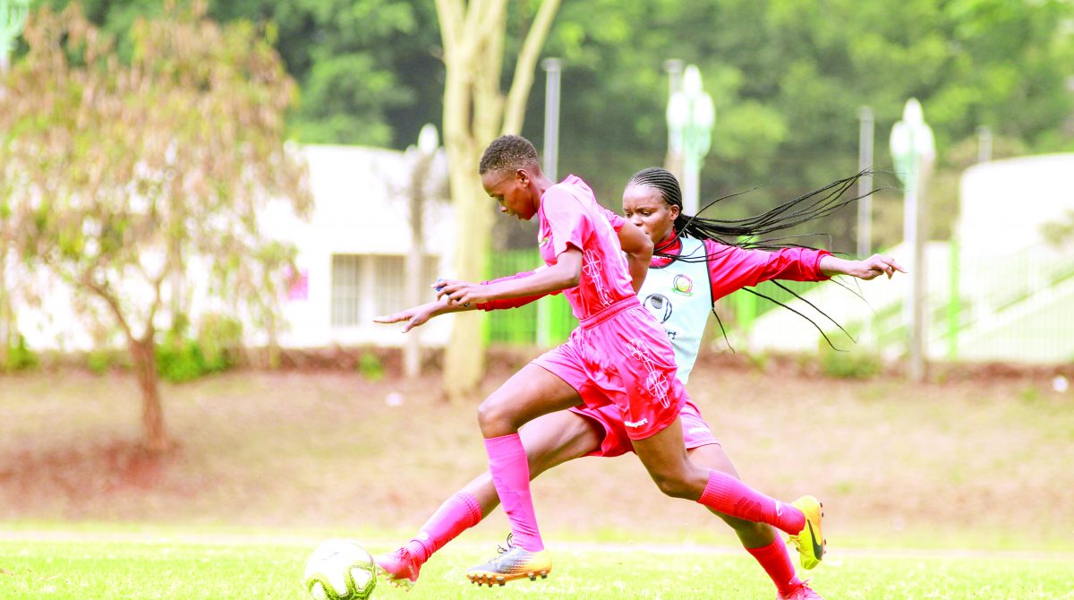 Starlets team named