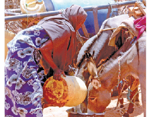 Thousands risk starvation in Mandera county