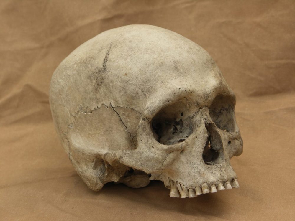 Man caught with human skulls denies charges