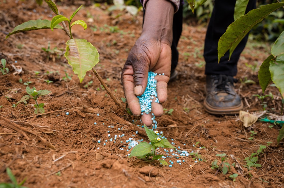 State distributes 4 million bags of fertilizer