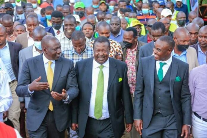 Mudavadi's ANC party dismisses UDA's calls for merger