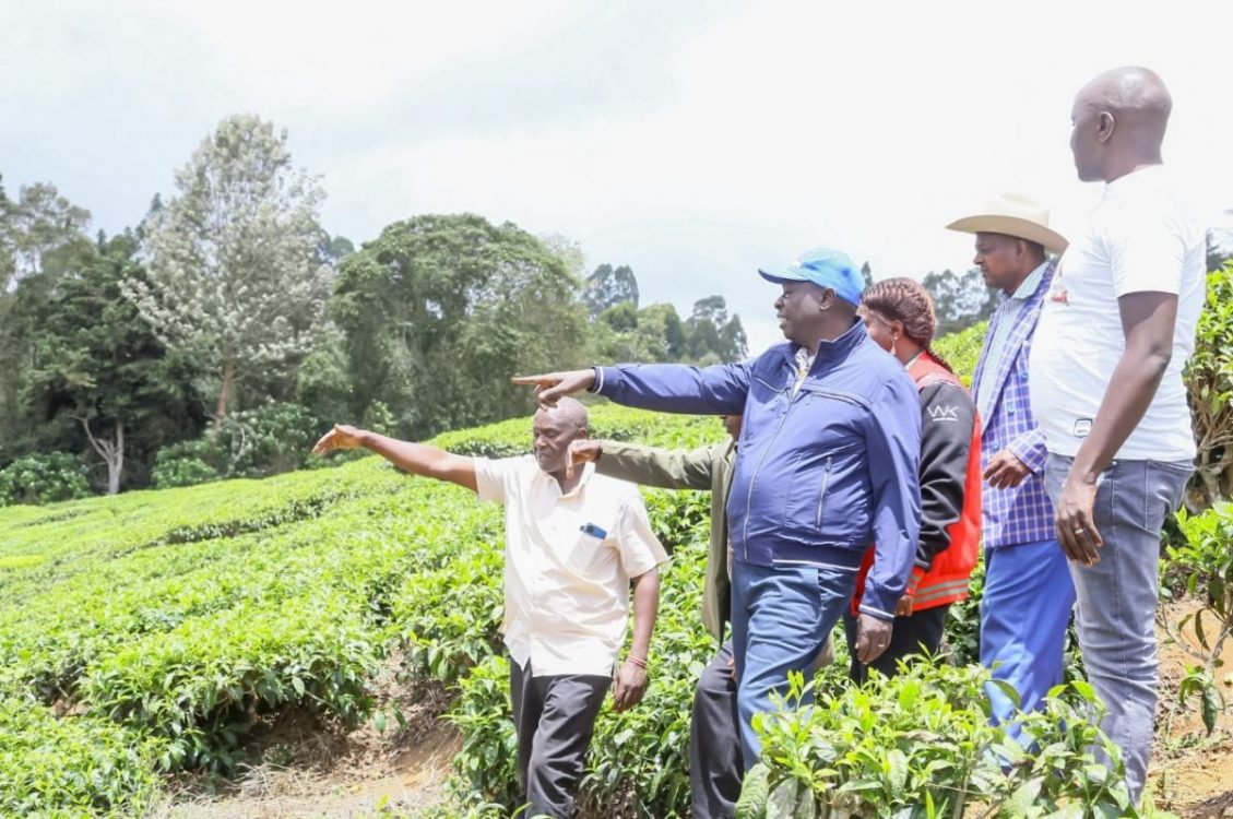 DP Gachagua visits tea farmers in Nyeri