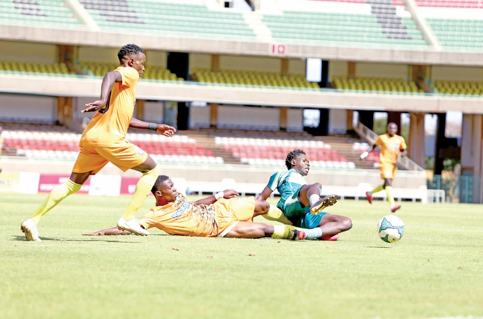 Ingwe penalised