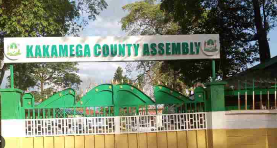 Give MCAs the honour worth their mandate