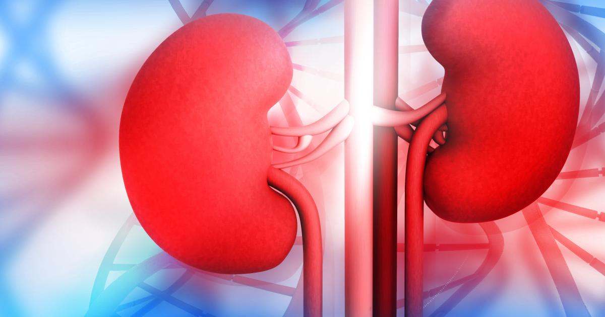 Alarm over kidney disease awareness