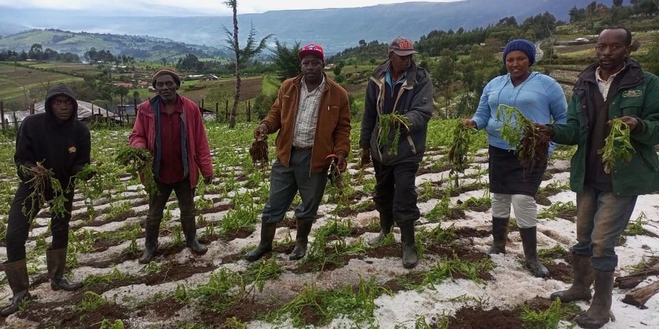 Weatherman: Hailstones are normal in long rain season