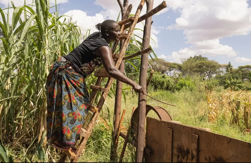 I’m afraid elephants will kill me – Taveta farmer