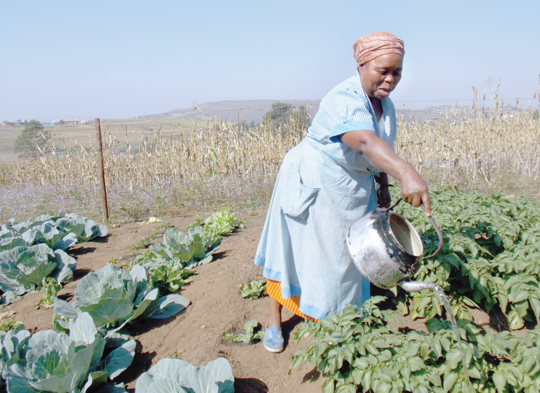 Farmers and youths to benefit most from State sponsored CAIP