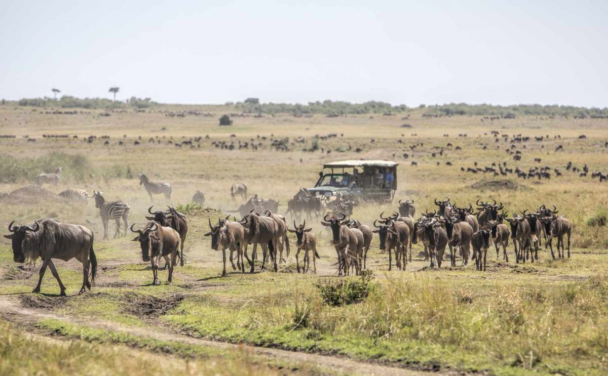 Kenya ranks top adventure holiday destination in Africa