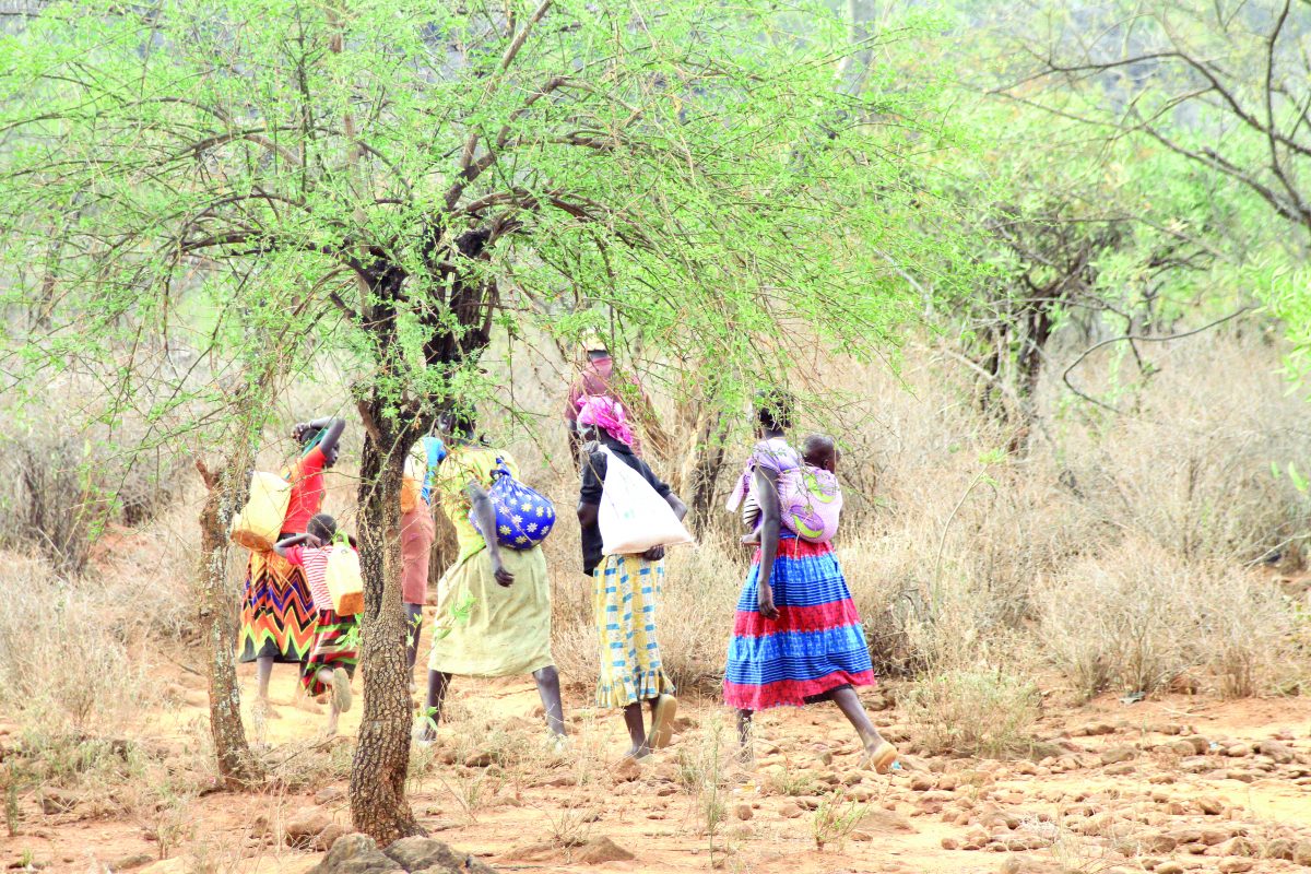 After fighting ills such as female genital mutilation, teenage pregnancies and child marriage through the power of a pen, veteran journalist Dorothy Jebet moved to the grassroots to face the battle head on in Baringo County