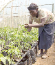 Youth urge the State to invest in agroecology