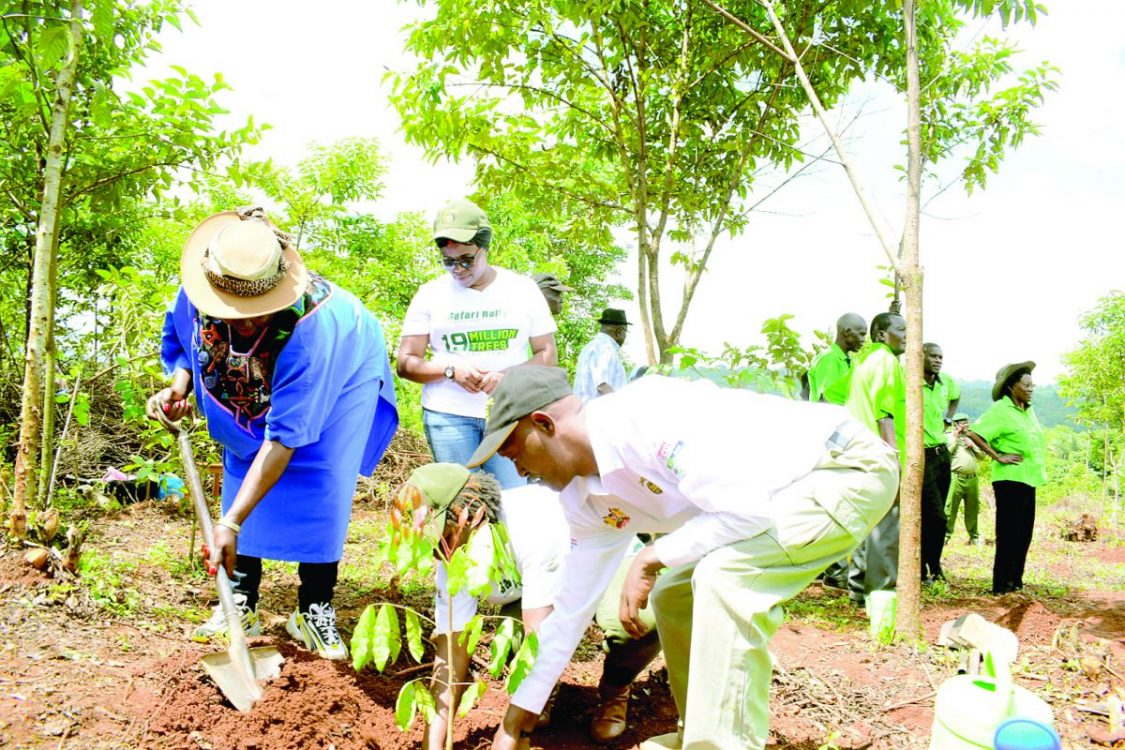 WRC Safari Rally greening legacy campaign crosses Ksh8.2M mark