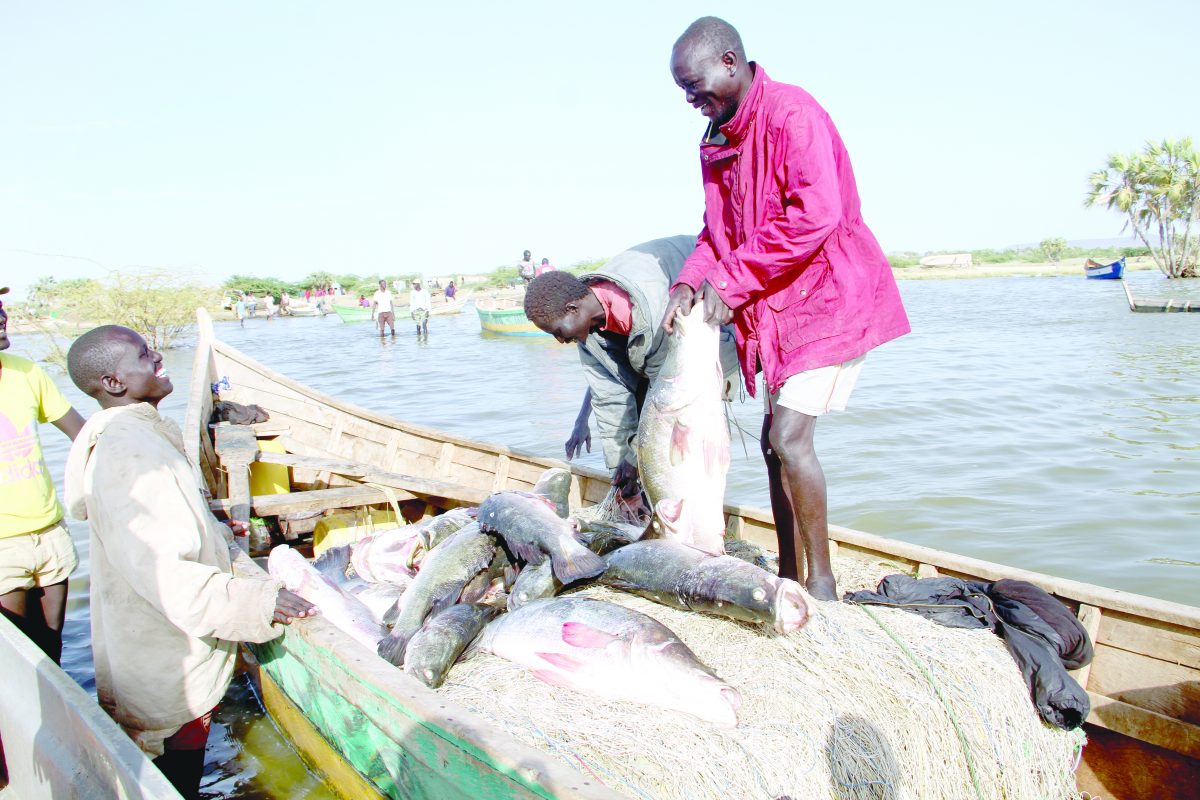 Blue economy receives Sh3.5b boost