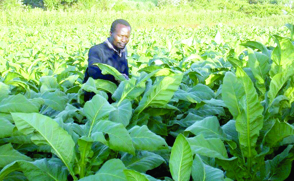 Migori farmers raise concern about climate change impacts