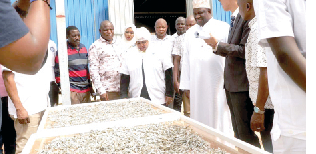 Kenya flags off first batch of anchovies for Chinese market