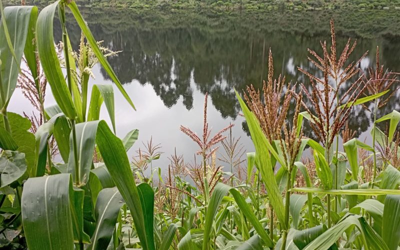 Gatundu residents threaten to drain Karimenu II dam over delayed compensation