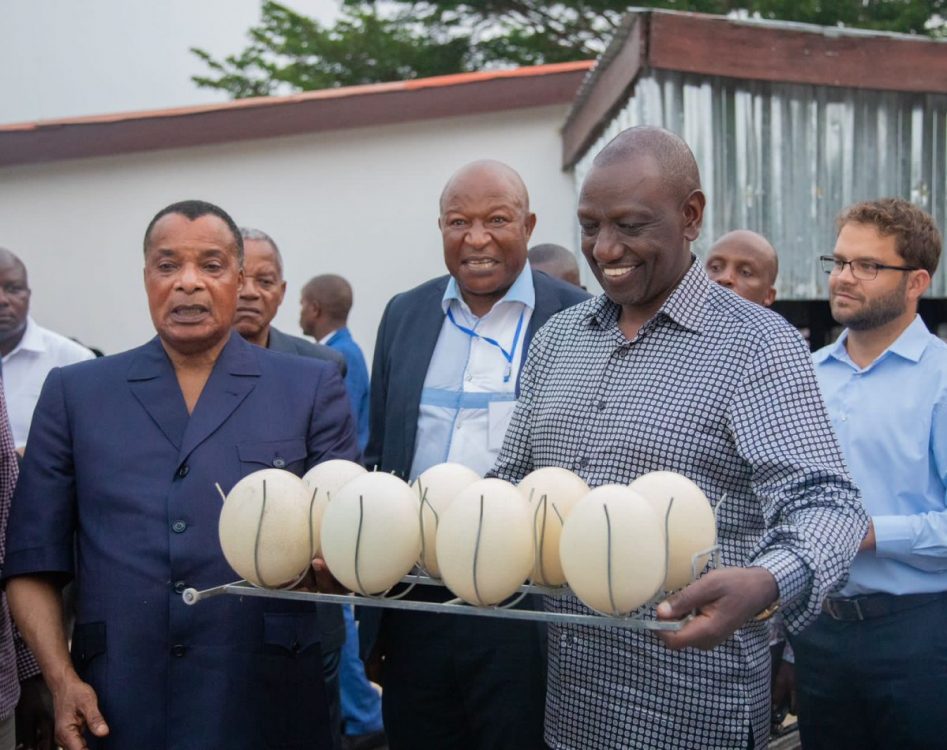 PHOTOS: Ruto tours Congo President Sassou Nguesso’s private farm