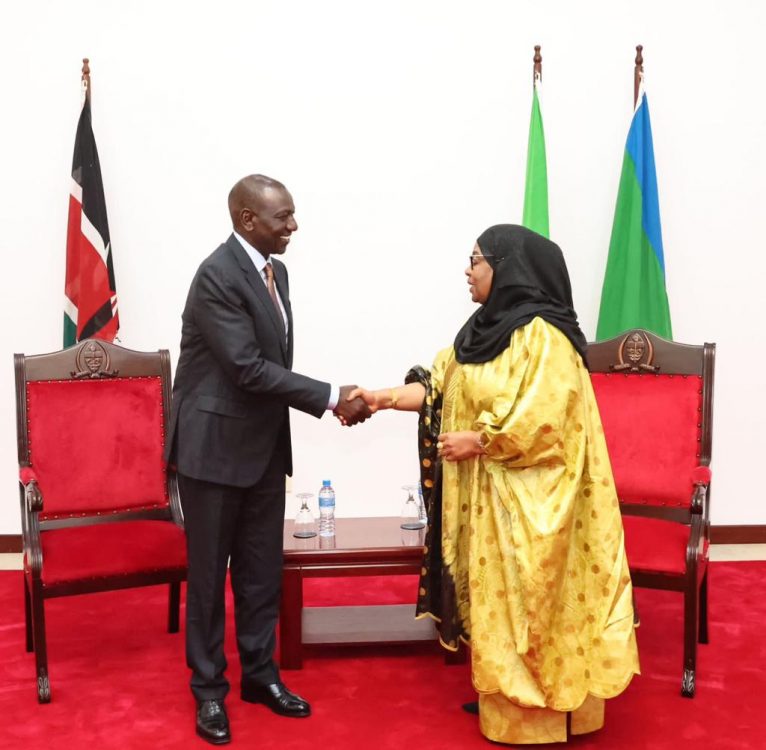 President Ruto meets Suluhu after snub claims