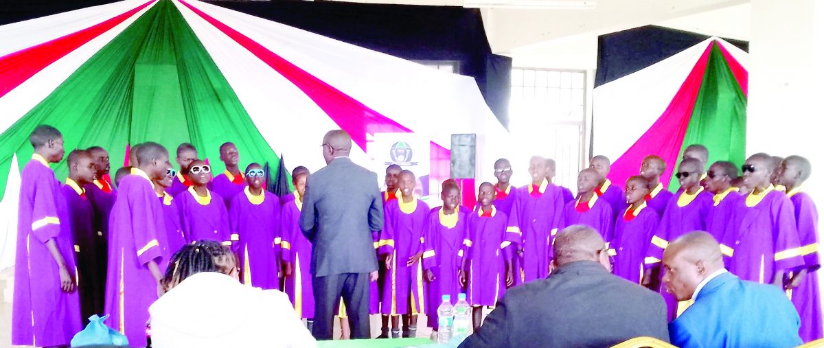 Visually impaired students excel at music fete