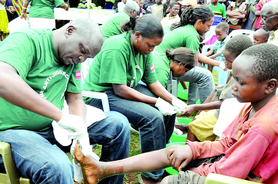 Jiggers disrupt learning in Butere schools