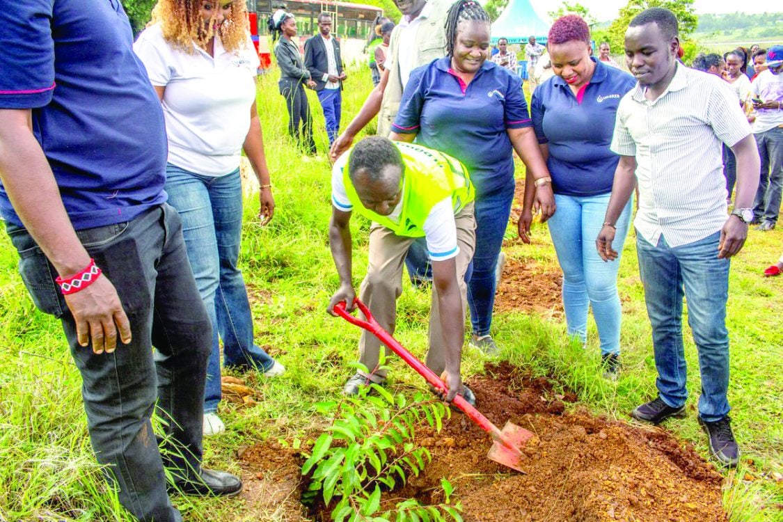 Eldoret water firm set to tap into green bond market